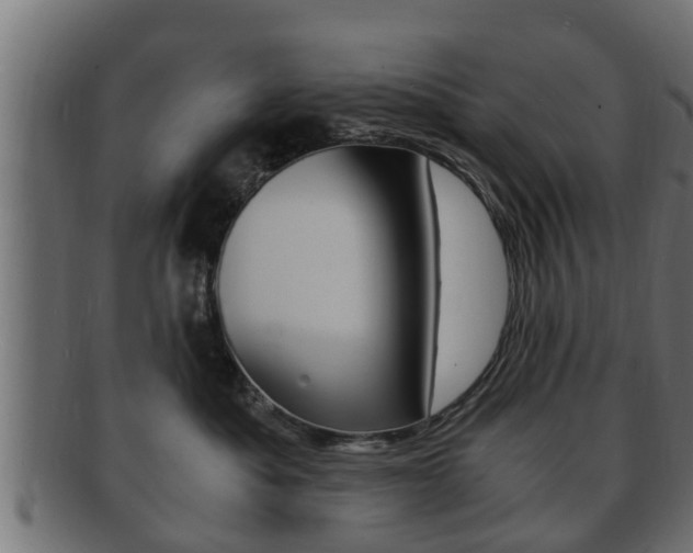X0000092330525200709141120