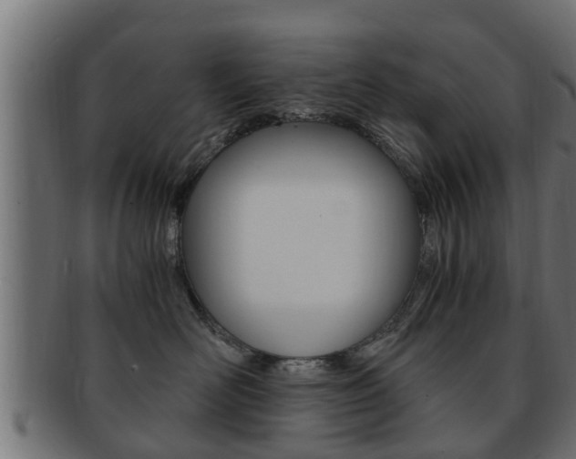 X0000092330526200709141120