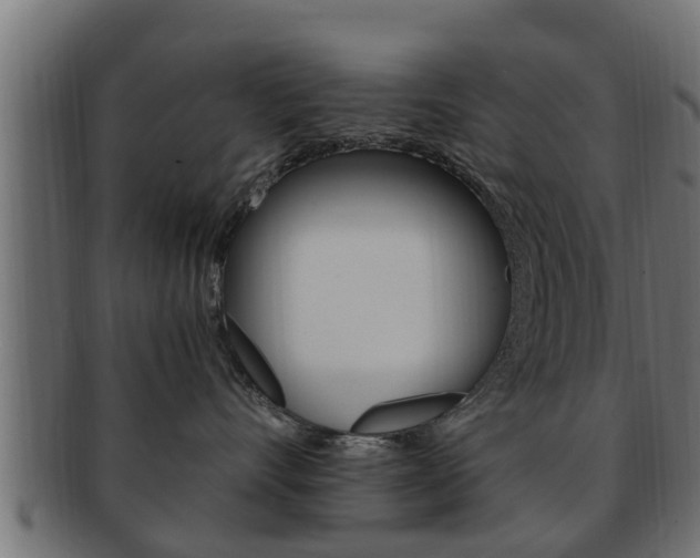 X0000092330528200709141120