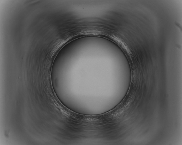 X0000092330529200709141119