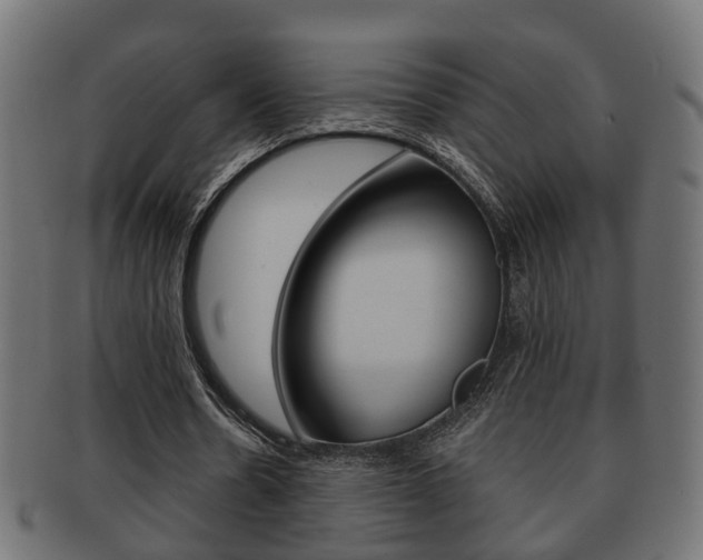 X0000092330530200709141119