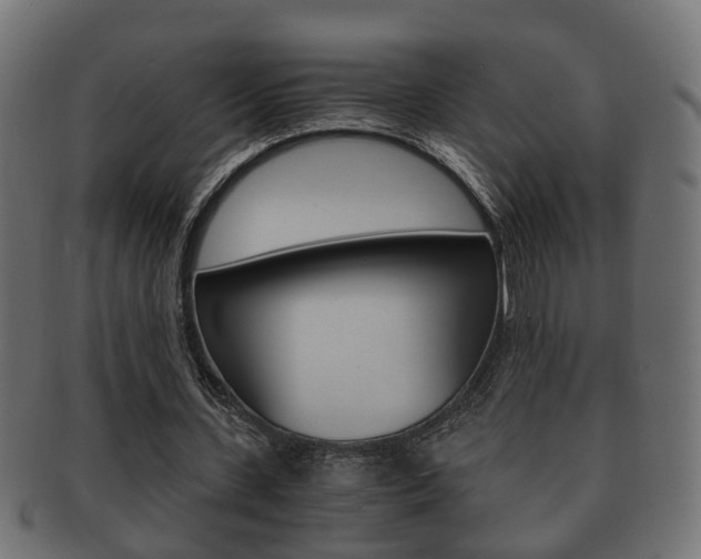 X0000092330531200709141119