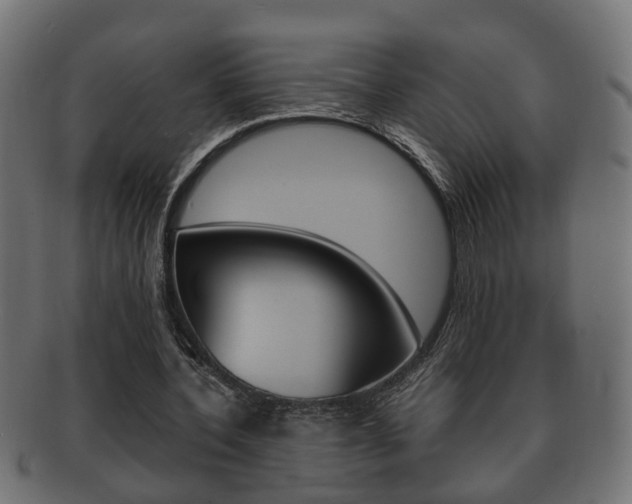 X0000092330532200709141119