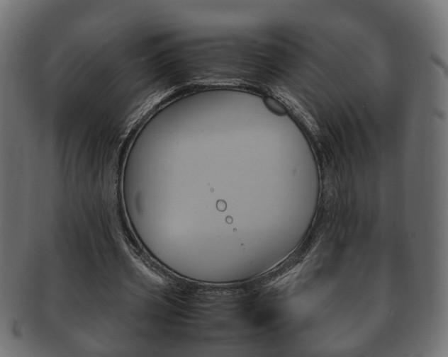 X0000092330533200709141119