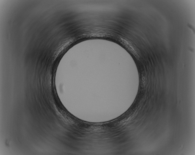 X0000092330534200709141119