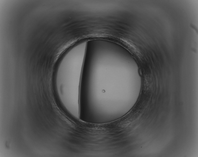 X0000092330535200709141119