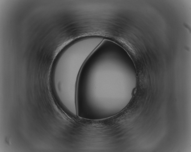 X0000092330536200709141119
