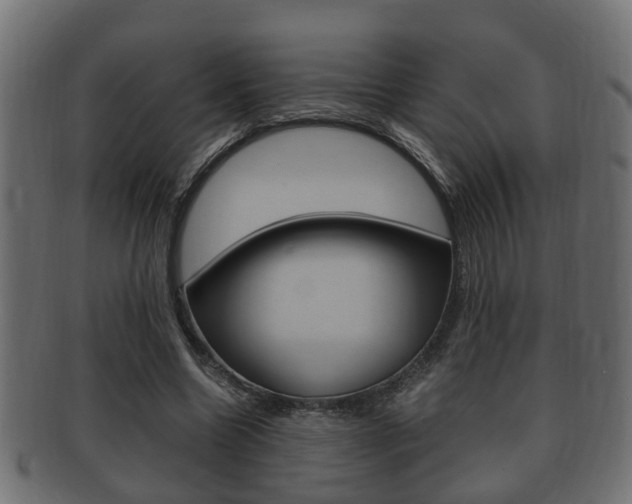 X0000092330538200709141119