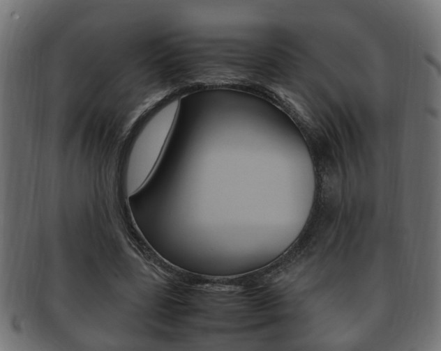 X0000092330539200709141119