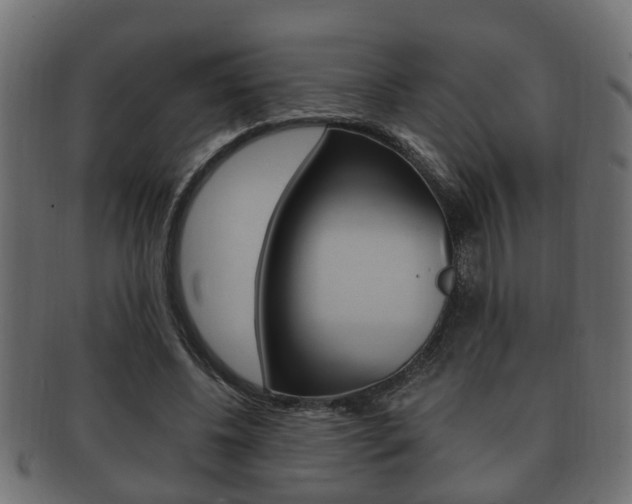 X0000092330540200709141119
