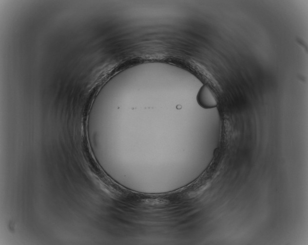 X0000092330541200709141119