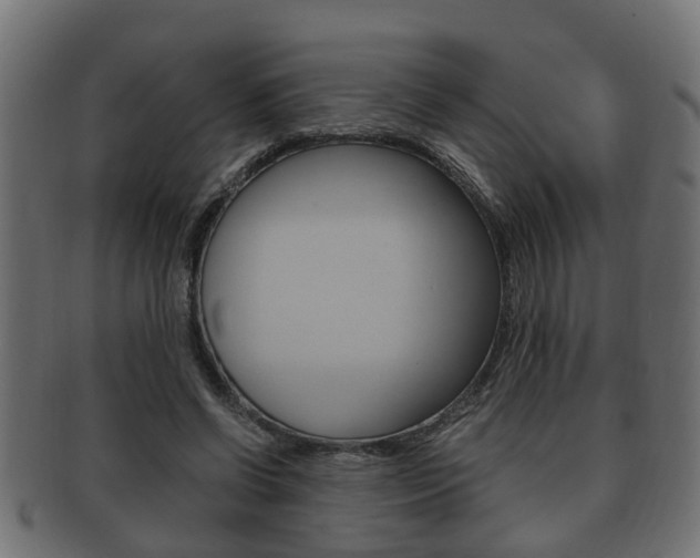X0000092330542200709141119