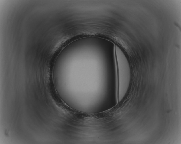 X0000092330544200709141119