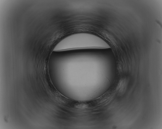 X0000092330551200709141120