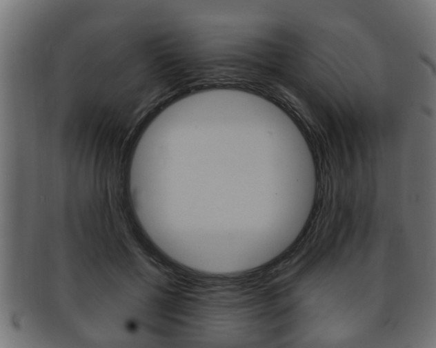 X0000092330552200709141120