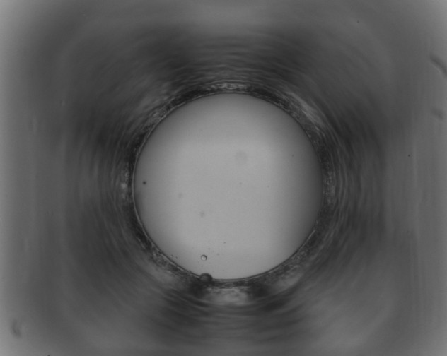 X0000092330553200709141120