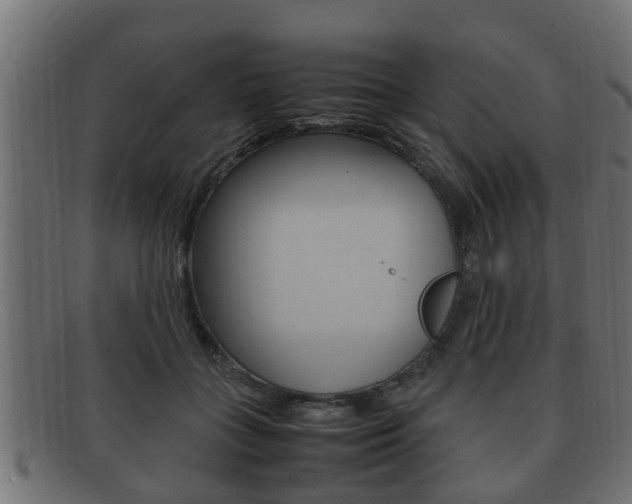 X0000092330555200709141120