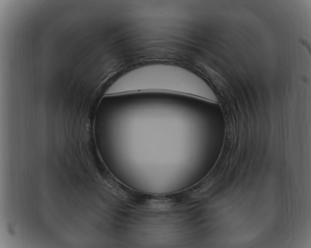 X0000092330556200709141120