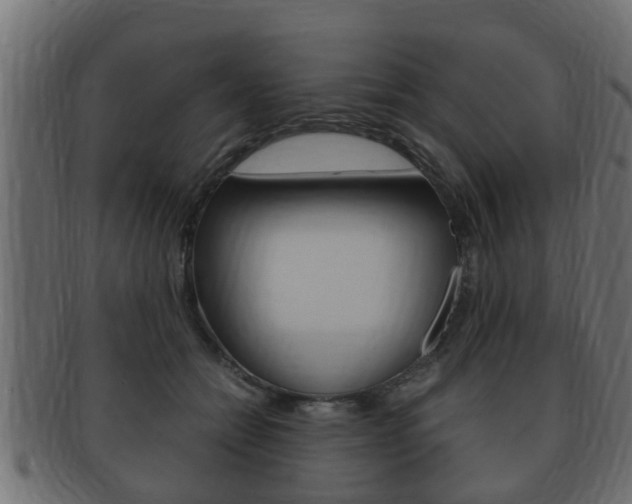 X0000092330558200709141120