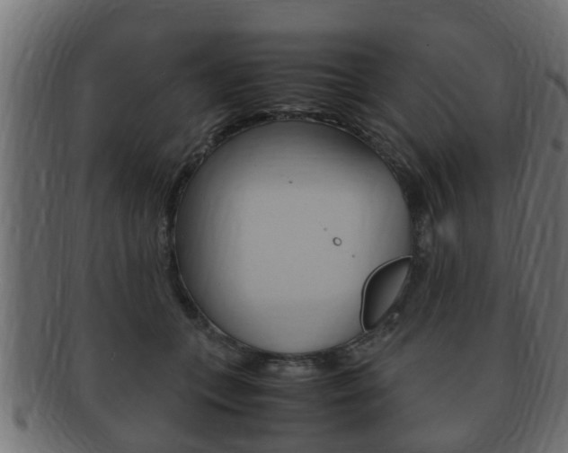 X0000092330559200709141120