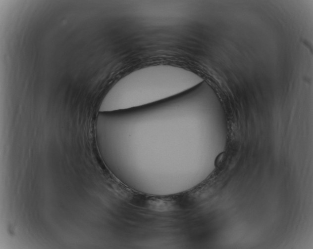 X0000092330561200709141120