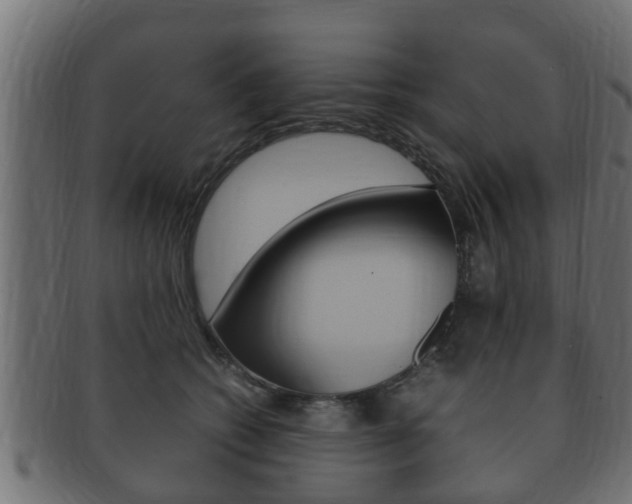 X0000092330562200709141120
