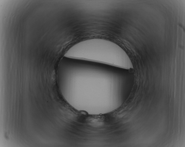 X0000092330563200709141120