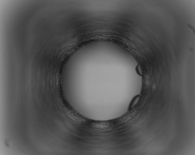 X0000092330567200709141120