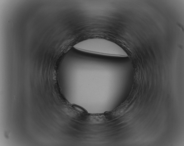 X0000092330571200709141120