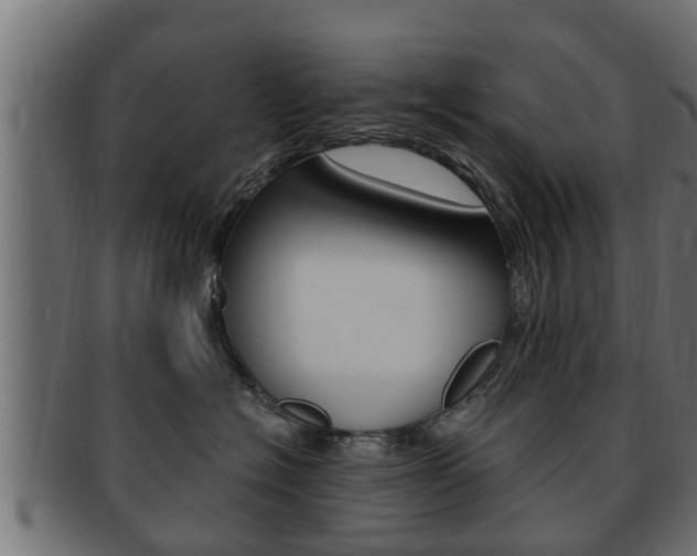 X0000092330574200709141120