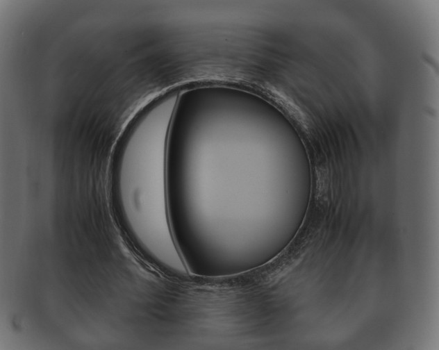 X0000092330580200709141119