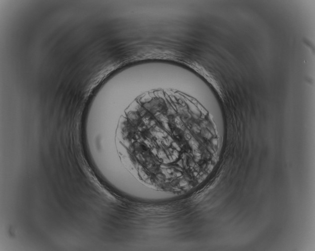 X0000092330581200709141119