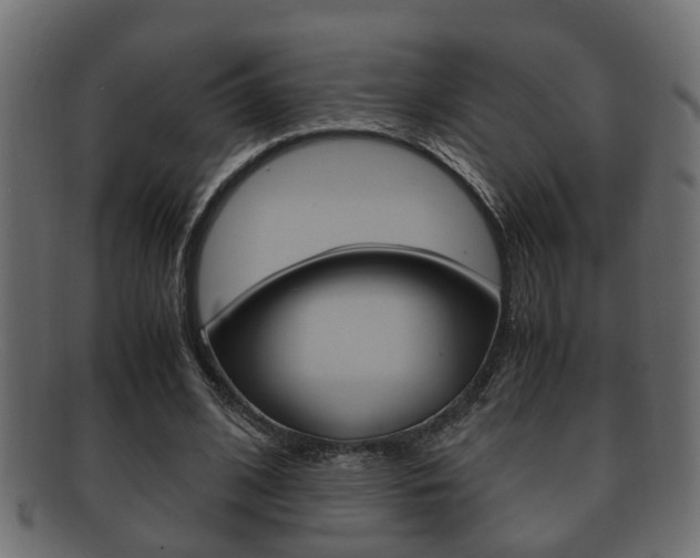X0000092330584200709141119