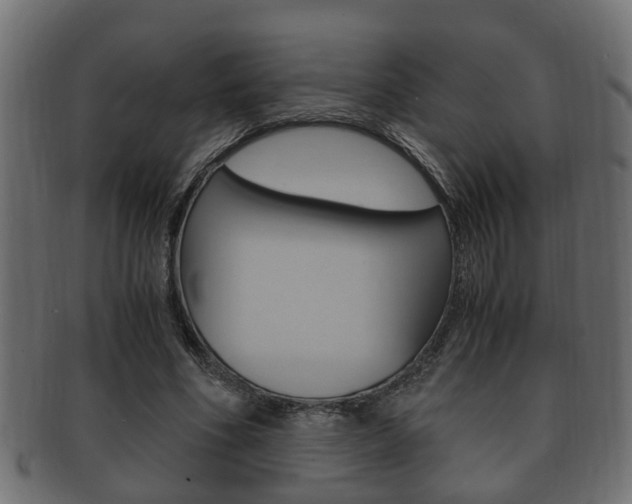 X0000092330586200709141119