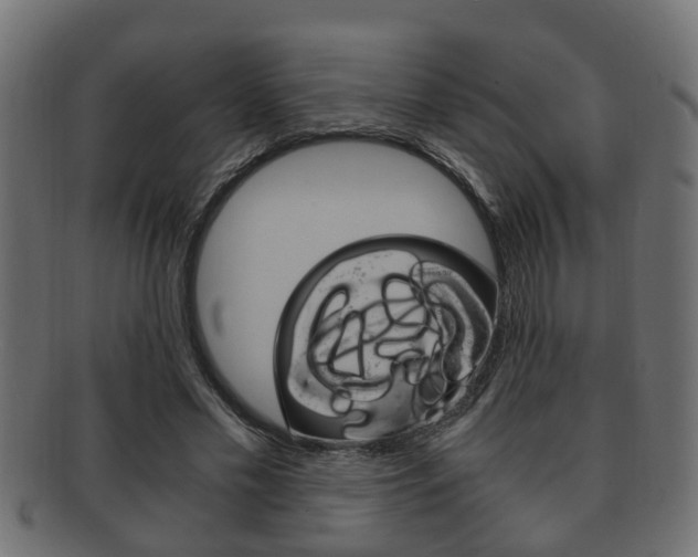 X0000092330589200709141119