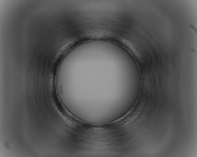 X0000092330590200709141119
