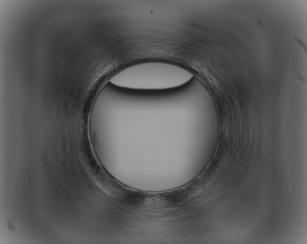 X0000092330591200709141119