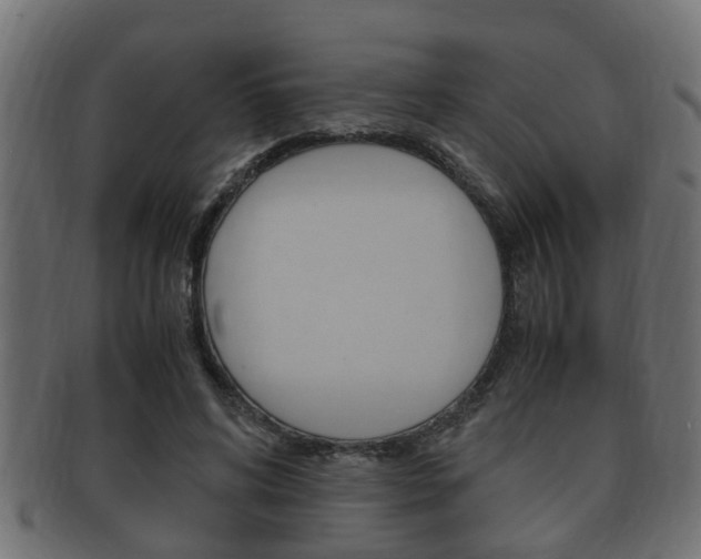 X0000092330592200709141119