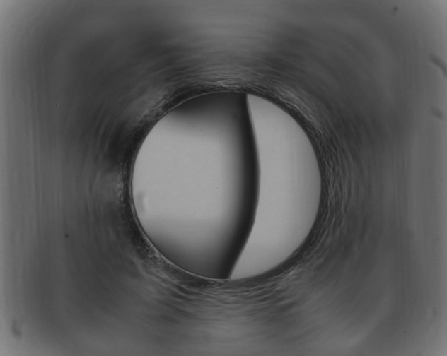 X0000092330595200709141119