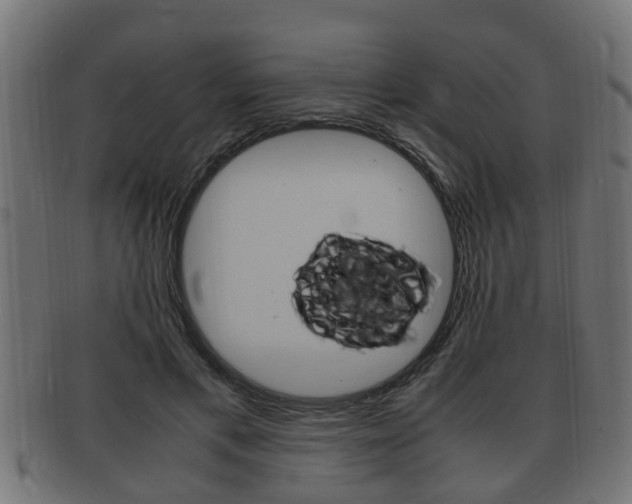 X0000092330597200709141119