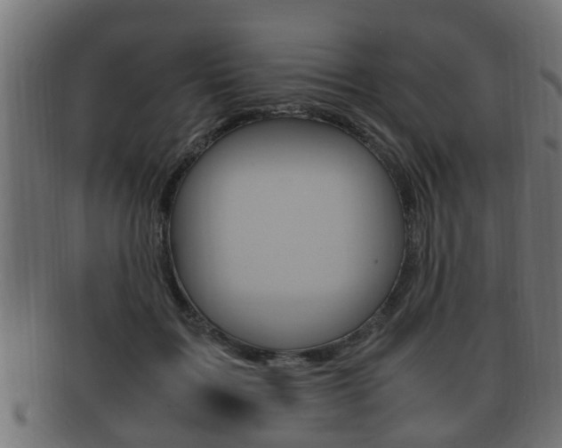X0000092330603200709141119