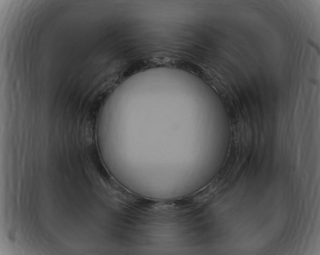 X0000092330606200709141119