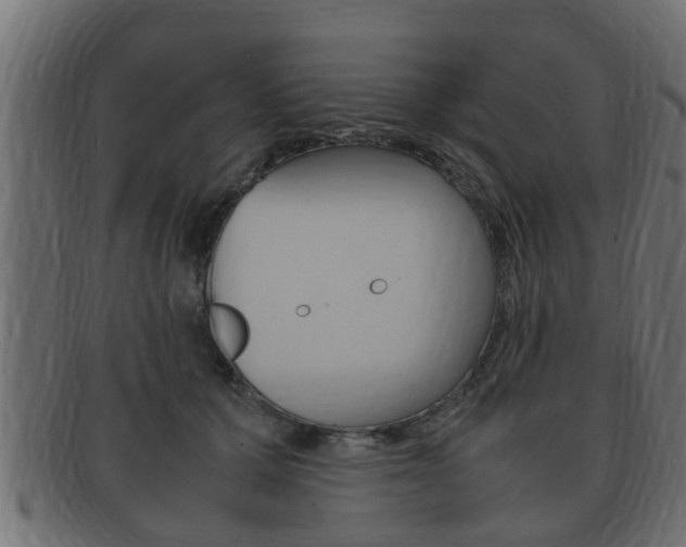 X0000092330607200709141119