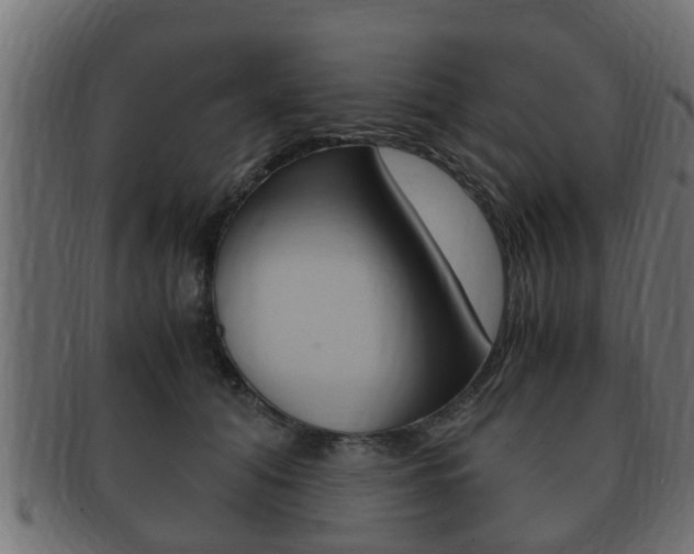 X0000092330608200709141119