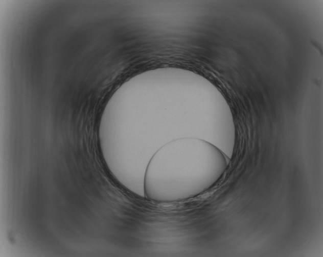 X0000092330613200709141119