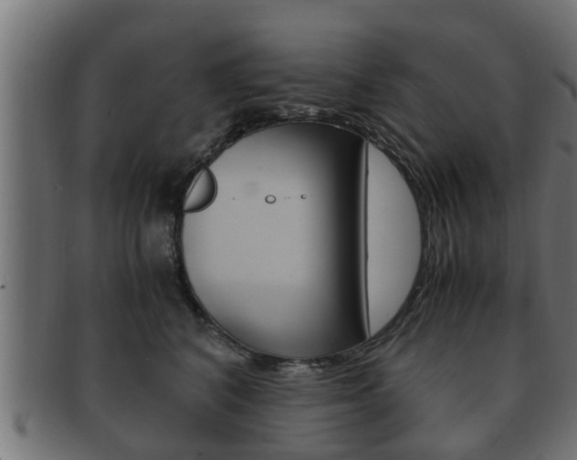 X0000092330616200709141119