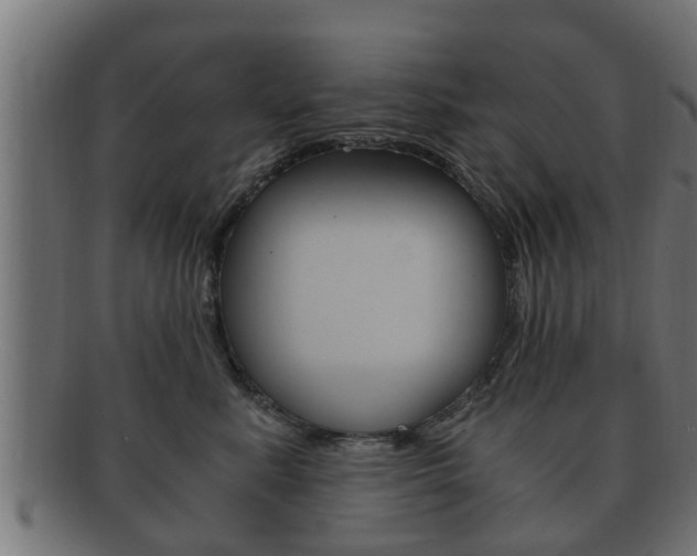 X0000092330619200709141119