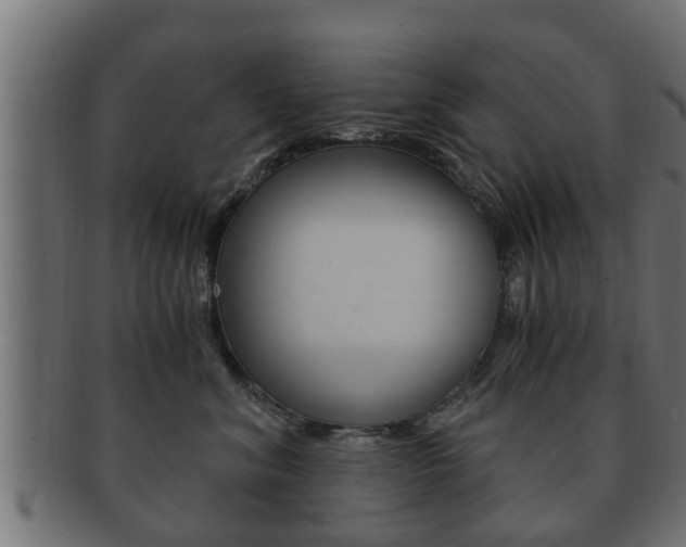 X0000092330620200709141119