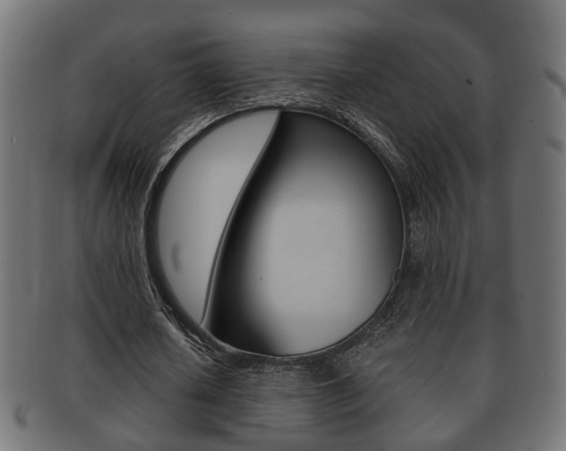X0000092330626200709141118