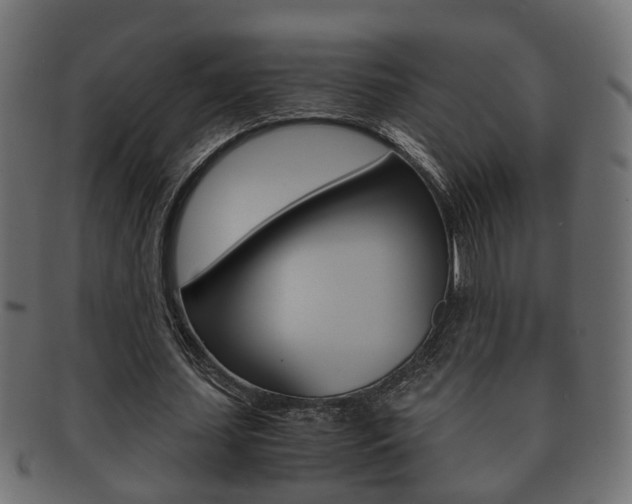 X0000092330627200709141118